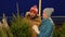 Happy couple buying christmas tree at market