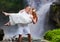 Happy couple near waterfall