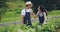 Happy, couple and talking on a farm for gardening, agriculture work and sustainability. Laughing, nature and face