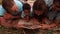 Happy couple with two kids are lying and reading a book in a meadow in slowmo