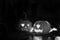 Happy and creepy traditional Halloween jack-o-lantern pumpkins