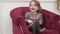 Happy curly little girl laughing sitting in soft purple armchair during indoor leisure activity