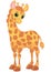 Happy Cute baby giraffe standing