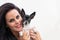 Happy cute black and white chihuahua hold by pretty woman with green eyes and smile. Little domestic animal, friendly with owner,