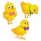 Happy Cute Chicks Vector Illustration