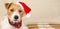 Happy cute christmas santa pet dog, holiday card background or banner