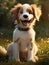 happy cute funny perfect beautiful playful joyful adorable pretty animated dogs pet puppy mans best friends. running