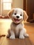 happy cute funny perfect beautiful playful joyful adorable pretty animated dogs pet puppy mans best friends. running