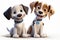 happy cute funny perfect beautiful playful joyful adorable pretty animated dogs pet puppy mans best friends. running