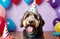 Happy cute labradoodle dog wearing a party hat celebrating at a birthday party