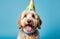 Happy cute labradoodle dog wearing a party hat celebrating at a birthday, pet day