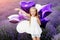 Happy cute little girl in lavender field with purple balloons. Freedom concept.