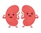 Happy cute smiling healthy kidney. Vector