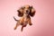 Happy Dachshund Dog In Jumping, In Flight On Pastel Pink Color Background. Generative AI