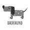 Happy Dachshund.hand-drawn illustration.dog and the name of the breed in the Doodle style.isolated on a white background