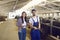 Happy dairy farm workers with tablet standing near stables with black buffalos in big barn