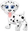 Happy dalmatian cartoon isolated on white background