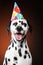 Happy Dalmatian dog in party cone