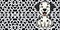 Happy Dalmation dog puppy spots seamless wallpaper vector