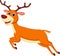 Happy deer cartoon running