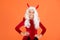 Happy devil child with long white hair wear horns costume of imp on halloween party, halloween costume