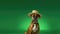 A Happy Dog Boxer In A Hat Beachwear Emerald Green Background. Generative AI