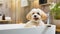 Happy dog enjoys spa treatments, serene grooming session.