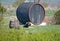 A happy dog guarding a large decorative wooden barrel at the entrance of a Romanian wine producer/vineyard, a rustic landscape