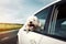 Happy dog with head out of the window in vintage camper car driving on scenic summer landscape. Generative AI