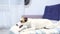 Happy dog Jack Russell Terrier waving tail. Fun dog at home in on couch is playing. Pet concept. dog lies on sofa and wags its tai