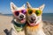 Happy Dog Lounging in Style: Beach Day Fun with Sunglasses and Sun Hat