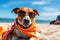 Happy Dog Lounging in Style: Beach Day Fun with Sunglasses and Sun Hat