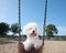 Happy Dog On Park Swing