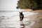 happy dog with stick in his mouth quickly runs along the water near the sandy beach