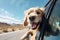 Happy dog sticking head out of the car window while on a trip. Generative AI