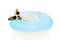 HAPPY DOG SUMMER GOING ON VACATIONS. JACK RUSSELL INSIDE A INFLATABLE OR BLUE FLOAT POOL WEARING SUNGLASSES. ISOLATED AGAINST