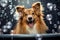 A happy dog takes a bath with foam and soap bubbles in pet grooming salon. Caring for the charming red Sheltie puppy