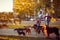 Happy dog walker walking with a group dogs in the city