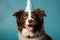 Happy Dog Wearing Colorful Party Hat with Copy Space for Celebratory Greetings. Birthday party