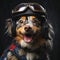 Happy dog wearing motorcycle crash helmet