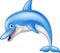 Happy dolphin cartoon