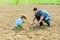 Happy earth day. Family tree. father and son planting flowers in ground. small boy child help father in farming. earth