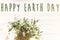 Happy earth day text sign on beautiful daisy flowers on rustic w