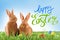 Happy Easter. Adorable bunnies and dyed eggs on green grass outdoors