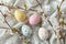 Happy easter adornments Eggs Easter Bunny Hopping Basket. White aegean blue Bunny anemones. Egg rolling background wallpaper