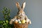 Happy easter Animals Eggs Grace Basket. White urban Bunny Hope. Easter egg hunt games background wallpaper