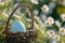 Happy easter apricot Eggs Calvary Basket. White Summer bloom Bunny bubbly. Orange Peel background wallpaper