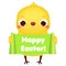 Happy Easter. baby chicken hold greeting banner. Cute cartoon chick. isolated vector clip art