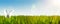 Happy easter background banner with ears of easter bunny or rabbit in lush green field against clear sky