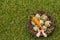 Happy Easter background. Quail eggs in a bird`s nest on fresh sunny green grass